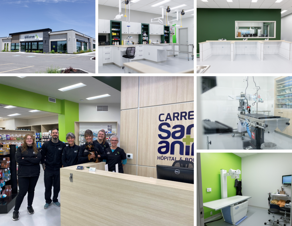  hôpital vétérinaire Carrefour Santé Animale